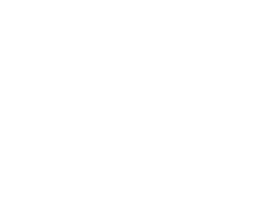 Stride Society